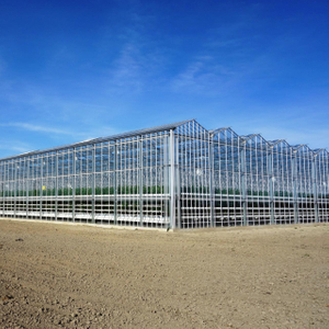 Venlo Polycarbonate/Glass Greenhouse