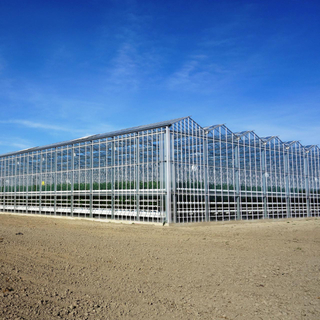 Venlo Polycarbonate/Glass Greenhouse