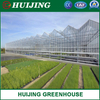 Plastic Film Green House/Polycarbonate Sheet PC/Hydroponic Venlo Glass/Greenhouse for Farming Agriculture of Vegetables/Flowers/Tomato/Garden