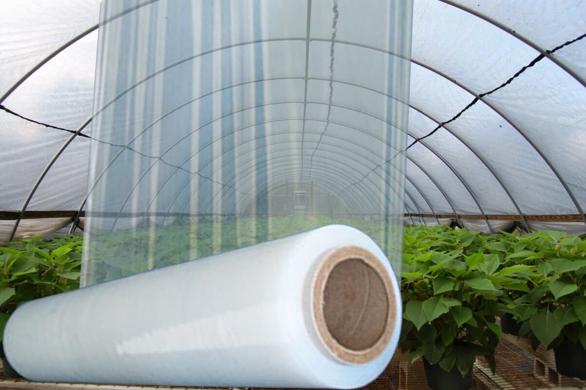 Popular Type Hot Sale Tunnel Plastic Greenhouse Film Agriculture