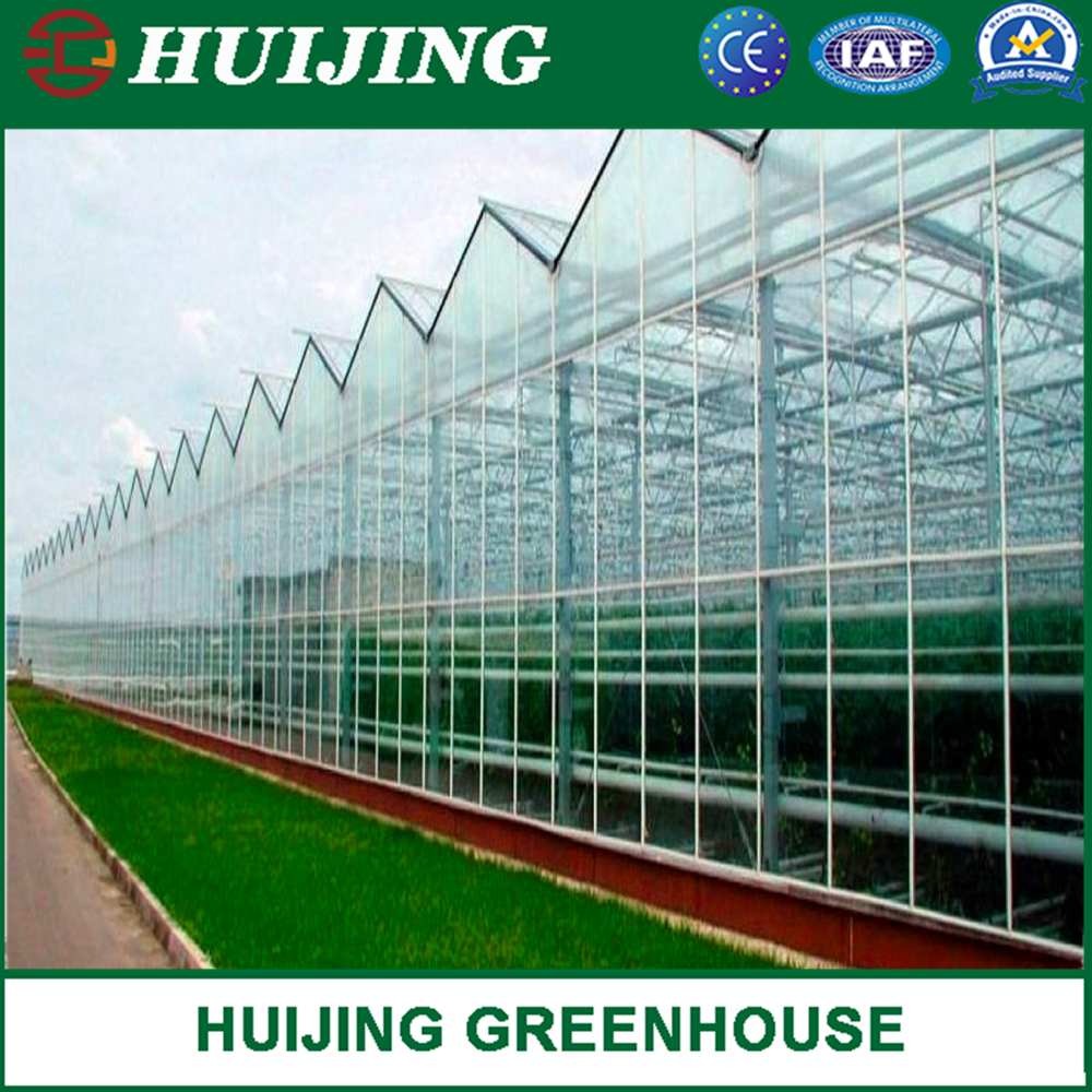 Polycarbonate Greenhouse Hydroponics System for Vegetables/Flowers/Fruit