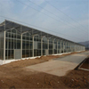 Glass Venlo Hydroponic Polycarbonate multi-span Agricultural Greenhouse for Vegetables/flowers/fruits/garden/tomato/crop/corn