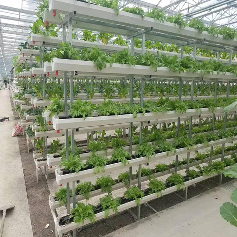Commercial Greenhouse With High Quality Hydroponic System Multi-span Hydroponic Greenhouse for Vegetables/flowers/fruits/garden/tomato/crop/corn