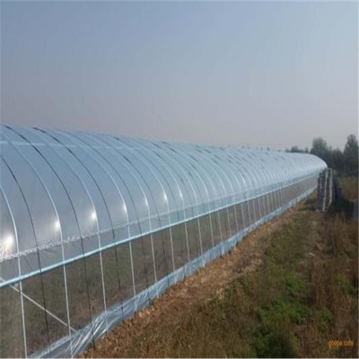 Covering film Greenhouse Hydroponic Venlo Multi-span Polycarbonate Agricultural Greenhouse for Vegetables/flowers/fruits/garden/tomato/crop/corn