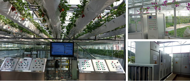 Multi-Span Film Greenhouse Intelligent Control System for Tomato