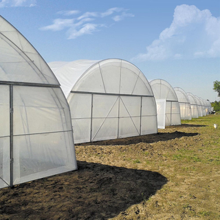 Single-span Poly Tunnel Greenhouse with PO/PE/EVA Film Covering