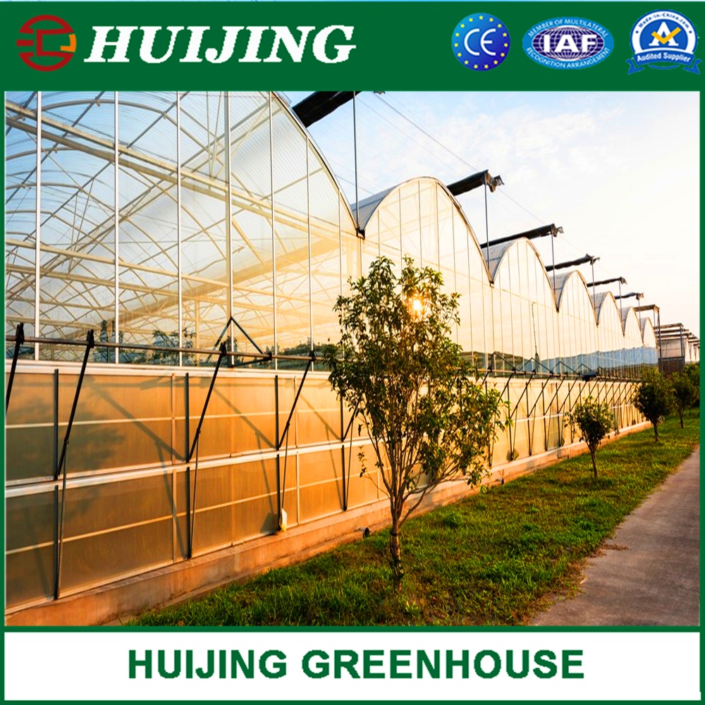 Low Price Commercial Agriculture Green House Wide Wide PE Plastic Film Greenhouse for Farming