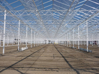 Galvanized Steel Greenhouse Structure for Vegetables