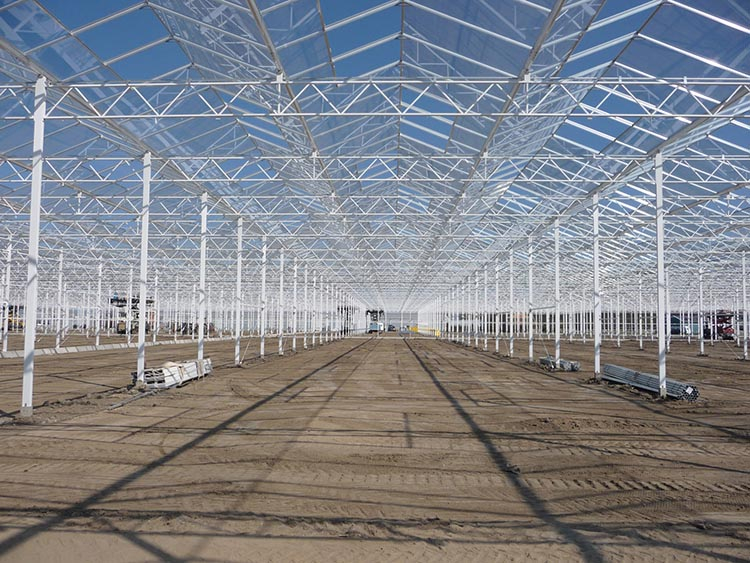 Galvanized Steel Greenhouse Structure for Vegetables