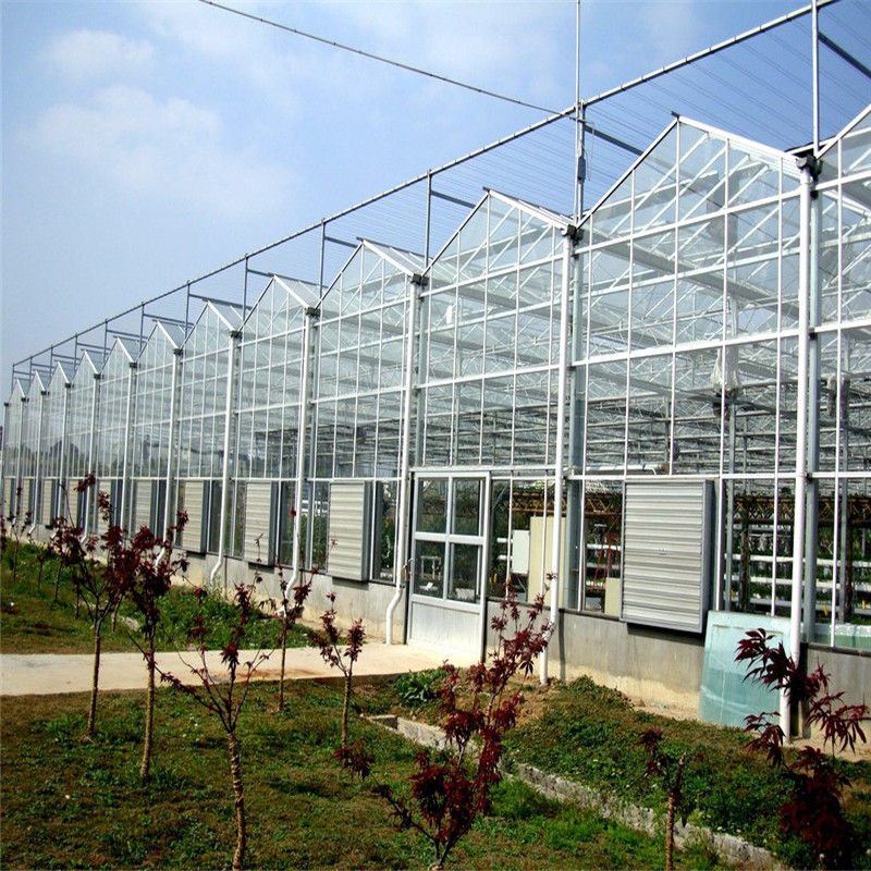 Excellent quality Heating System Multi-span Agricultural Hydroponic Greenhouse for Vegetables/flowers/fruits/garden/tomato/crop/corn