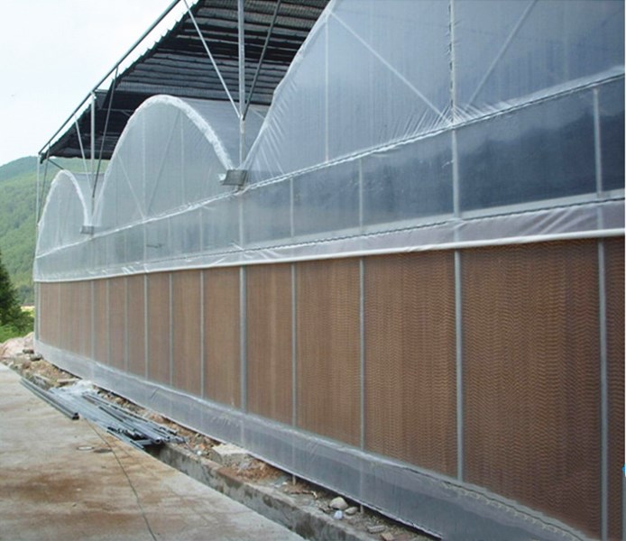 Arch Type Steel Structure Poly Film/PC Sheet Covered Greenhouse for Vegetables