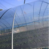 Factory Wholesale 100-250mircon Multi Function PE/Po Greenhouse Film/Plastic for Greenhouse Cover