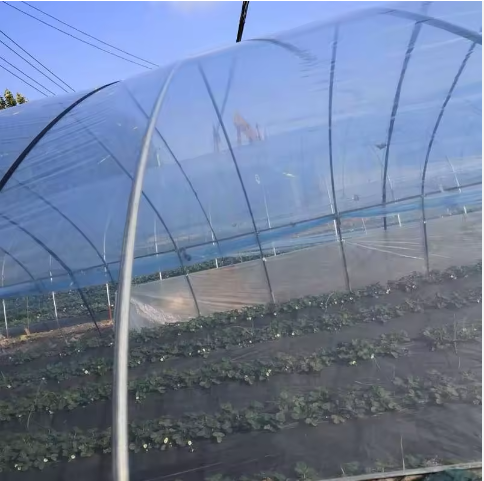 Factory Wholesale 100-250mircon Multi Function PE/Po Greenhouse Film/Plastic for Greenhouse Cover