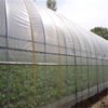 Multi-span Polytunnel Hydroponic Venlo Agricultural Polycarbonate Film Greenhouse for Vegetables/flowers/fruits/garden/tomato/crop/corn