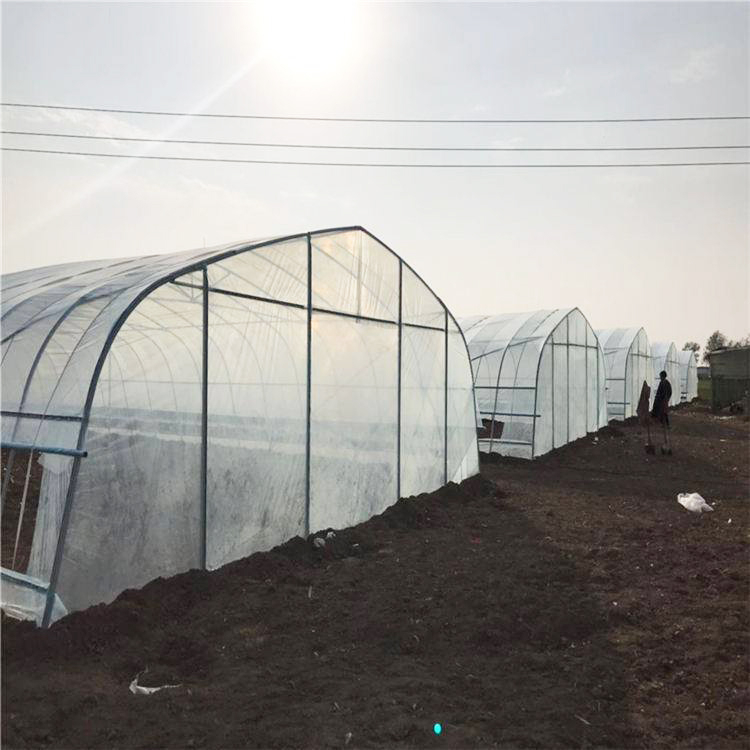 Low Cost Tunnel Greenhouse