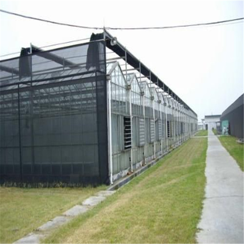 Venlo Hydroponic greenhouse with high quality outside shade System Multi-span Agricultural Greenhouse for Vegetables/flowers/fruits/garden/tomato/crop/corn
