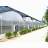 Polycarbonate high quality vegetable greenhouse