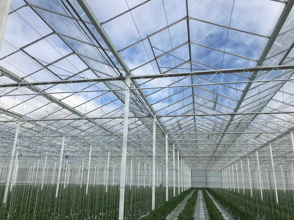Steel galvanized pipe greenhouse structure for greenhouse Buy Product on HUIJING GREENHOUSE