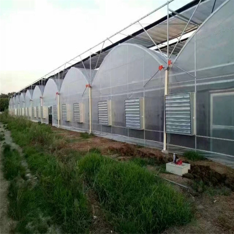 Venlo Steel Structure Multi-span Hydroponic Polycarbonate Agricultural Greenhouse for Vegetables/flowers/fruits/garden/tomato/crop/corn