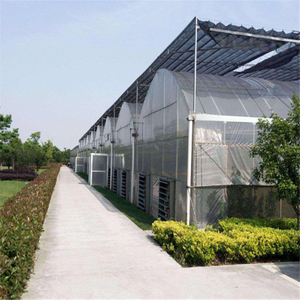 Agricultural Polycarbonate High quality cheap price Hydroponic Agricultural PC Greenhouse for Vegetables/flowers/fruits/garden/tomato/crop/corn