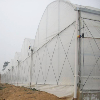 Greenhouse Roof / Side Ventilation System 