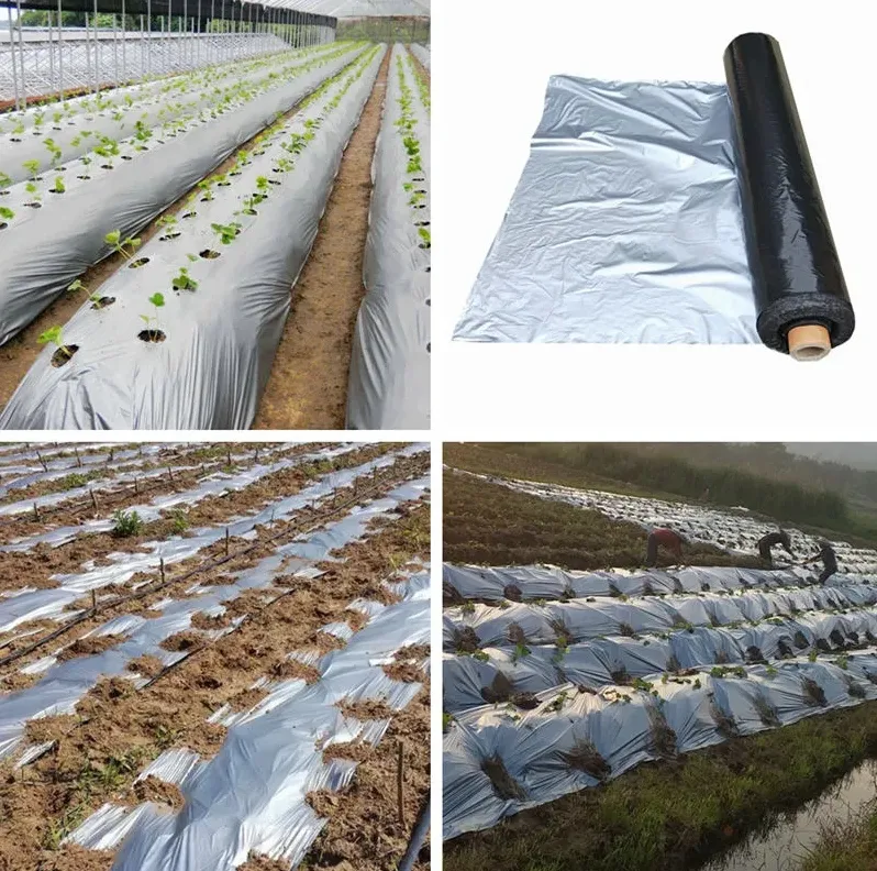 200 micron agricultural Black polyethylene Plastic Mulch Film, ldpe with uv ground cover width holes