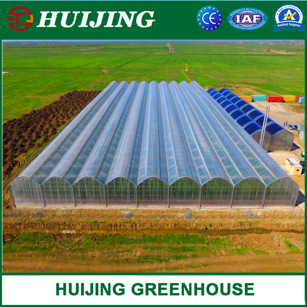 Low Price Commercial Agriculture Green House Wide Wide PE Plastic Film Greenhouse for Farming
