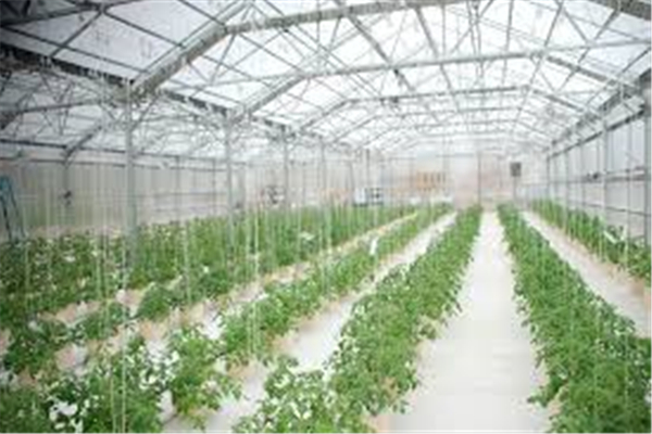 Agriculture Greenhouse Hydroponic Growing Nutrients Systems