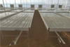 Nursery/Bench System of Greenhouse
