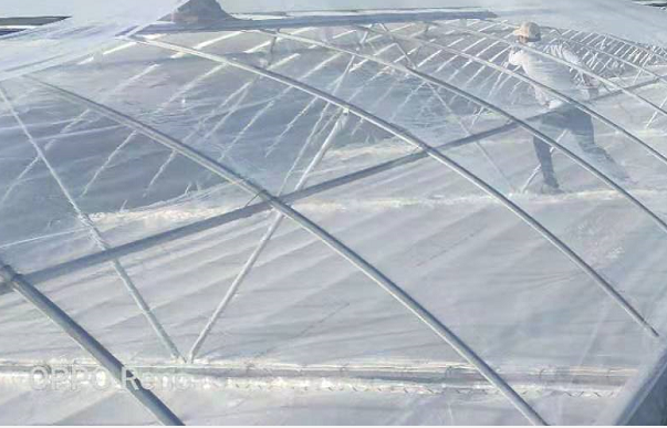  200microns Light Diffusion Greenhouse Film 36months UV Protection 