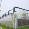 Multi-span Agricultural Hydroponic greenhouse with high quality outside shade System Greenhouse for Vegetables/flowers/fruits/garden/tomato/crop/corn