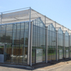 Commercial Multi-Span Hydroponic Glass Greenhouse for Vegetable 