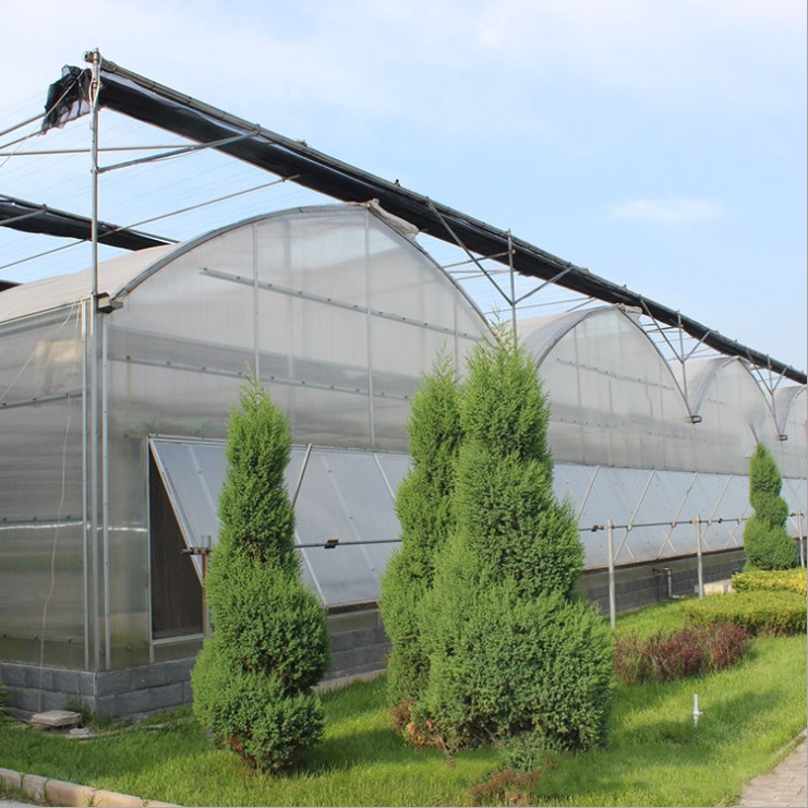 Hot Sale Tropical Multi Span Agriculture Greenhouse for Vegetable