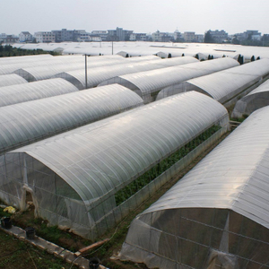 Single-Span Garden Greenhouse for Agriculture