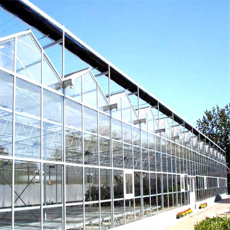 Greenhouse covering glass Hydroponic Venlo Multi-span Polycarbonate Agricultural Greenhouse for Vegetables/flowers/fruits/garden/tomato/crop/corn