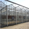 Hydroponic Steel Structure Multi-span Polycarbonate Agricultural Greenhouse for Vegetables/flowers/fruits/garden/tomato/crop/corn