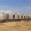 Gothic/Arch Polycarbonate Greenhouse for Middle East