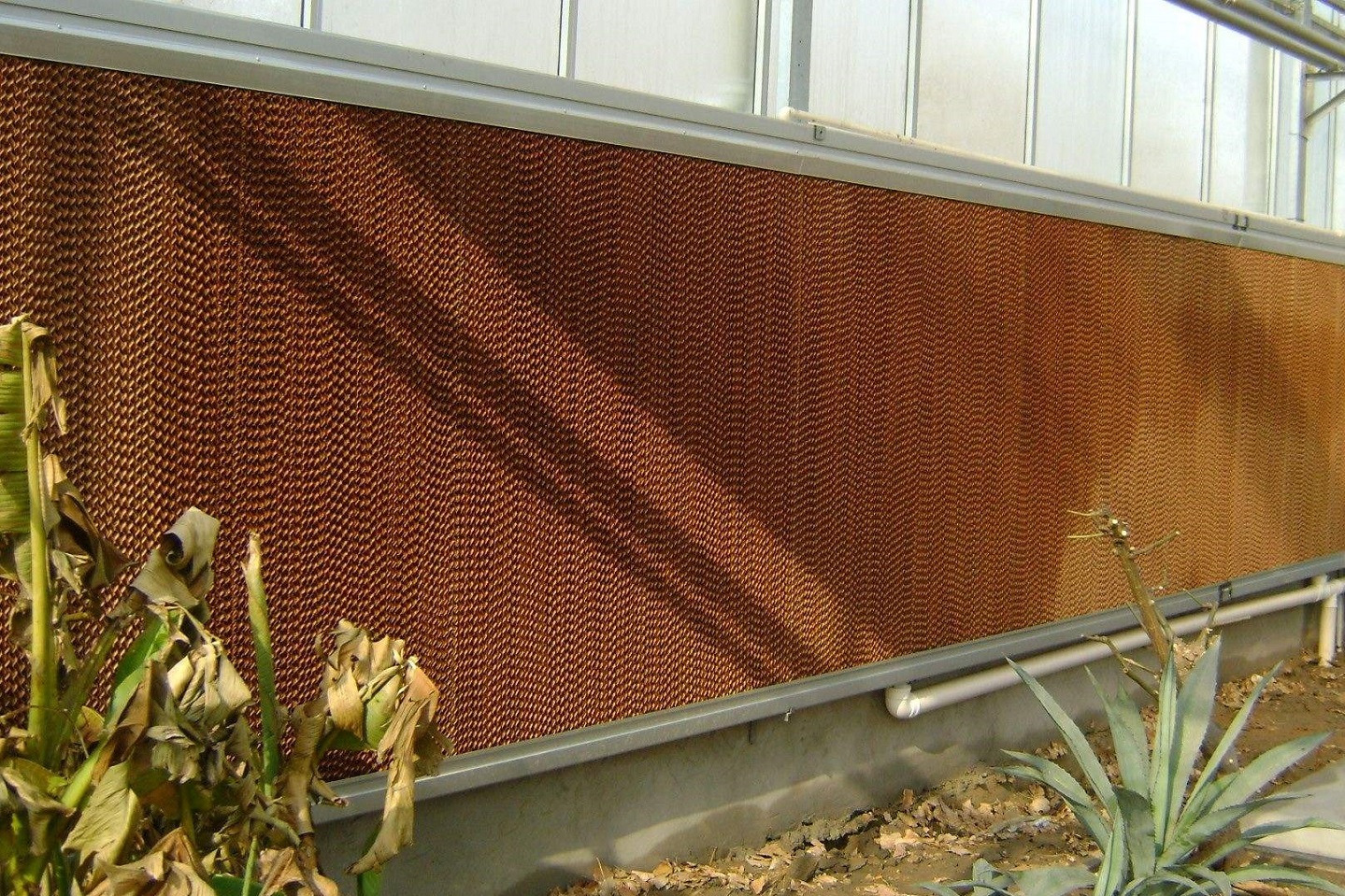 Greenhouse Water Evaporative Cooling System