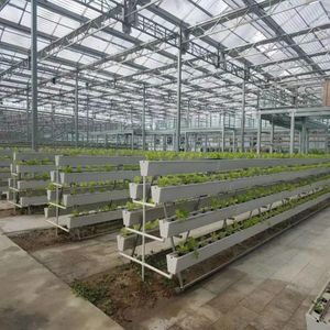 Commercial Greenhouse With High Quality Hydroponic System Multi-span Hydroponic Greenhouse for Vegetables/flowers/fruits/garden/tomato/crop/corn
