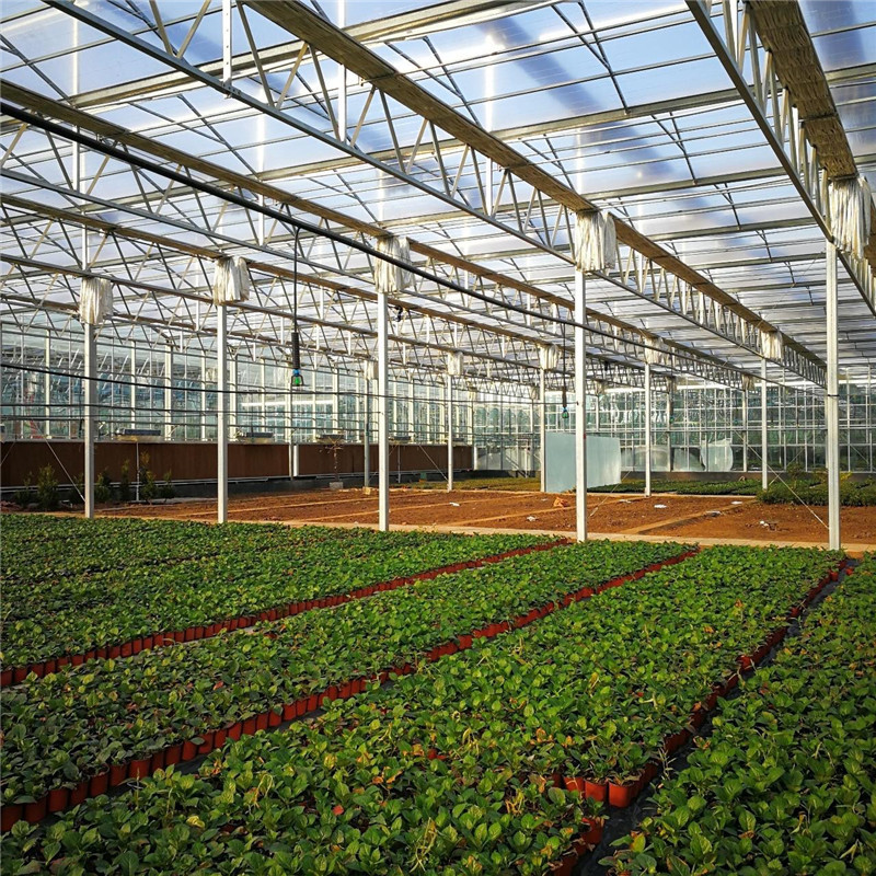 Multi-span Venlo Hydroponic Polycarbonate Steel Structure Agricultural Greenhouse for Vegetables/flowers/fruits/garden/tomato/crop/corn