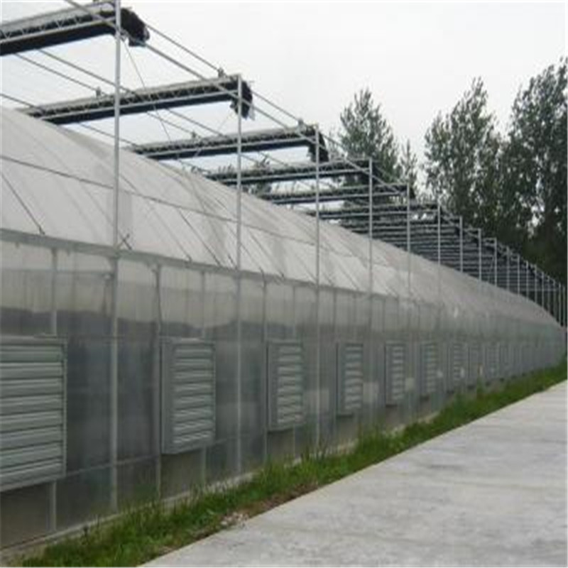 Covering film Greenhouse Hydroponic Venlo Multi-span Polycarbonate Agricultural Greenhouse for Vegetables/flowers/fruits/garden/tomato/crop/corn