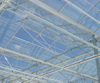 Roof Ventilation Systems and Side Ventilation Systems for Greenhouse Flowers