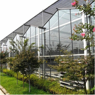 Professional Large Multi-span Smart Automatic Control Commercial Vegetable Cucumber Glass Greenhouse for Agricultural 