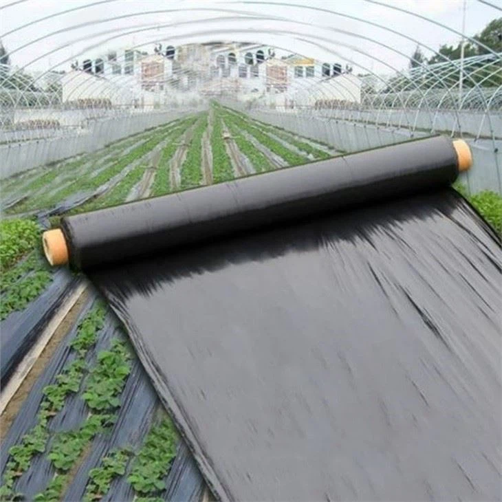 Mulching Biodegradable Agricultural Black Plastic Mulch Film