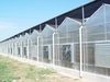 Outside Shading System of Multi Span Greenhouse