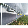Economical Solar Agricultural Greenhouse with Anti Insect Net for Vegetable/Flowers/Fruits Growing 