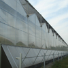 Agricultural Multi Span Greenhouse Ventilation System 