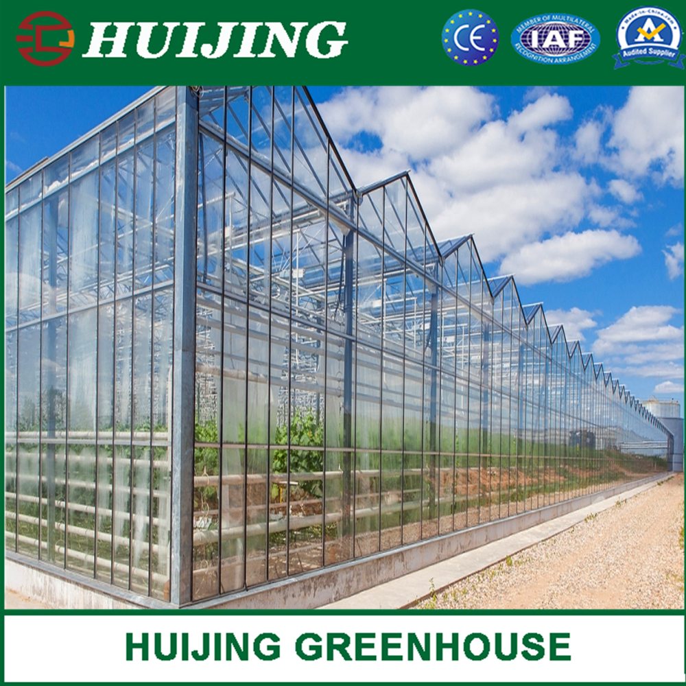 Agricultural/Commercial/Farm/Garden Single Span Poly Film/PC Sheet/Polycarbonate/Glass Covered Greenhouse for Vegetable Tomatoes/Cucumber/Peppers/Strawberry