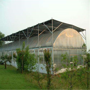 Single-span cheap price Polytunnel Hydroponic Agricultural Film Greenhouse for Vegetables/flowers/fruits/garden/tomato/crop/corn