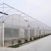 Multi-span Polycarbonate Greenhouse 